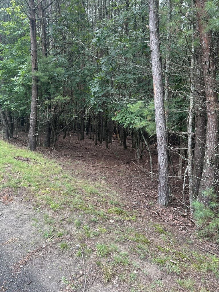 0 Summit Drive, Blairsville GA 30512 - Photo