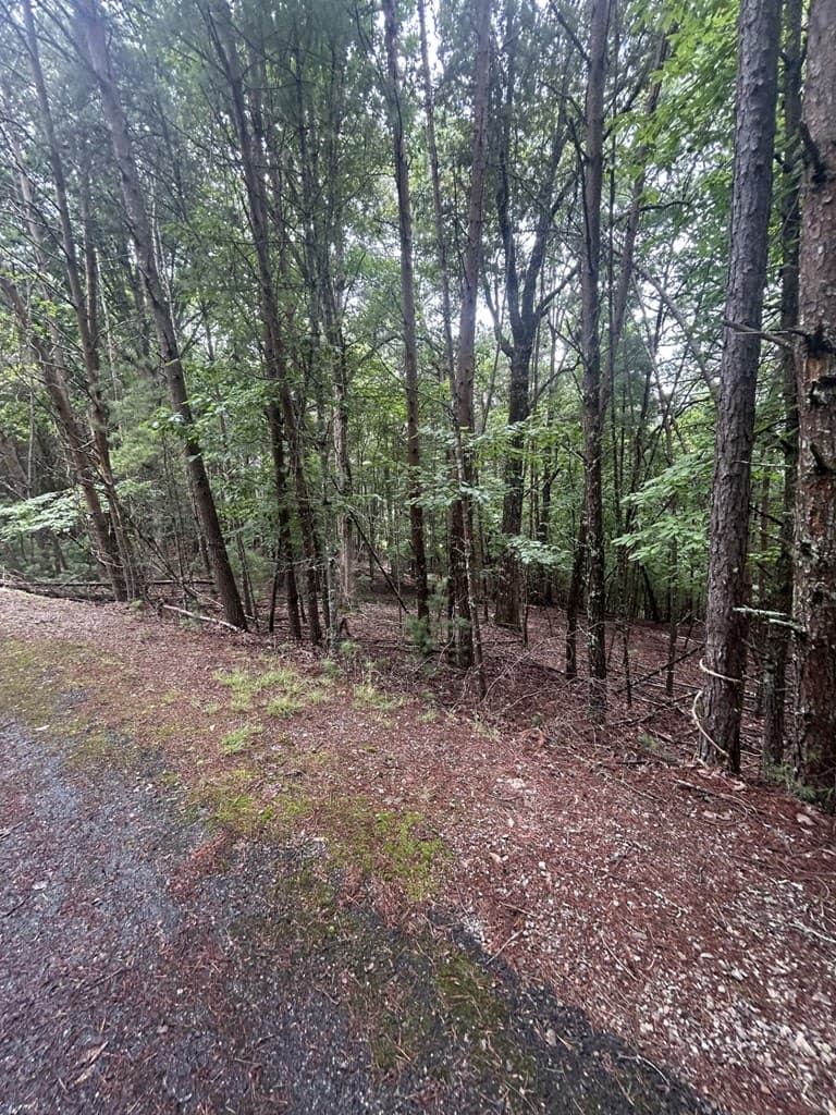 0 Summit Drive, Blairsville GA 30512 - Photo