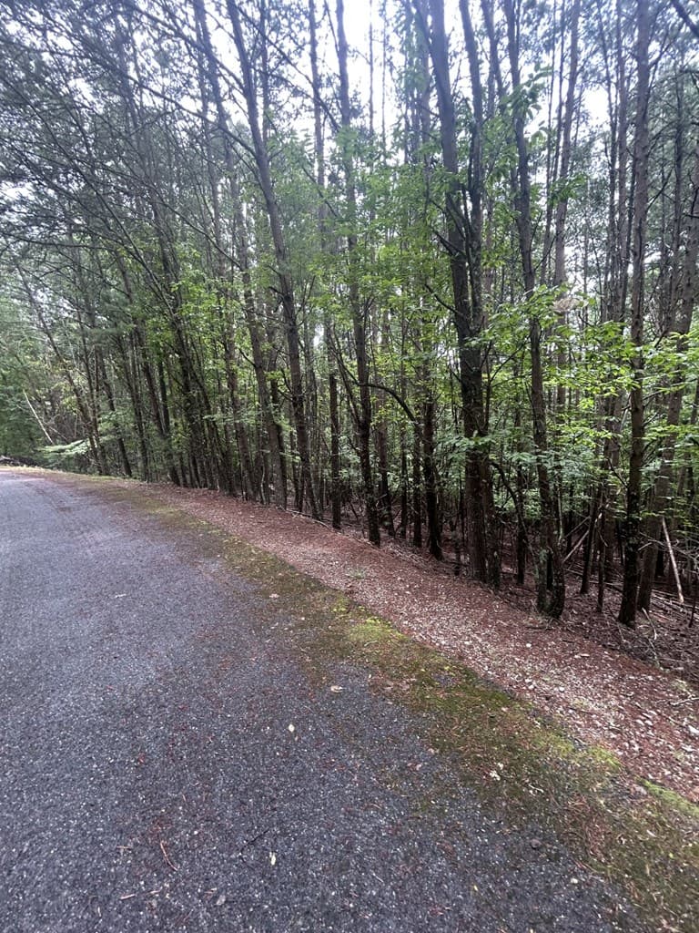 0 Summit Drive, Blairsville GA 30512 - Photo