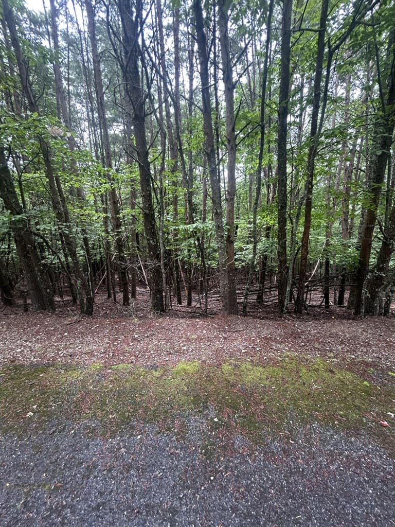 0 Summit Drive, Blairsville GA 30512 - Photo