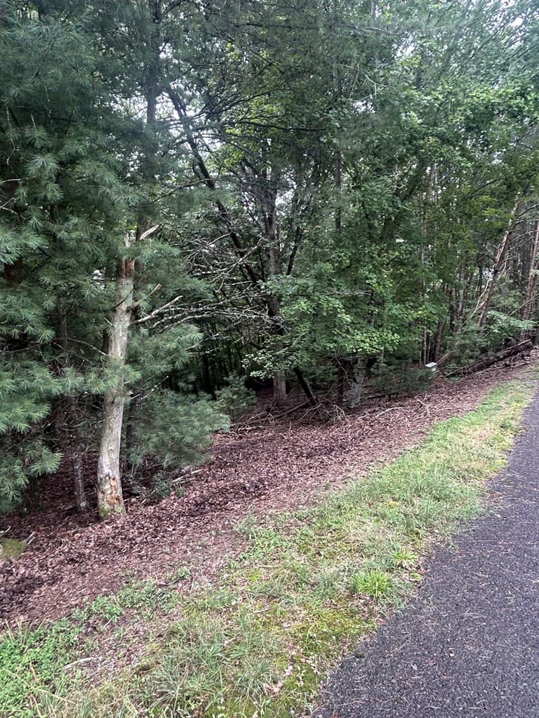 0 Summit Drive, Blairsville GA 30512 - Photo