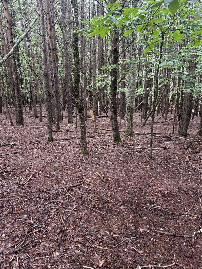 0 Summit Drive, Blairsville GA 30512 - Photo