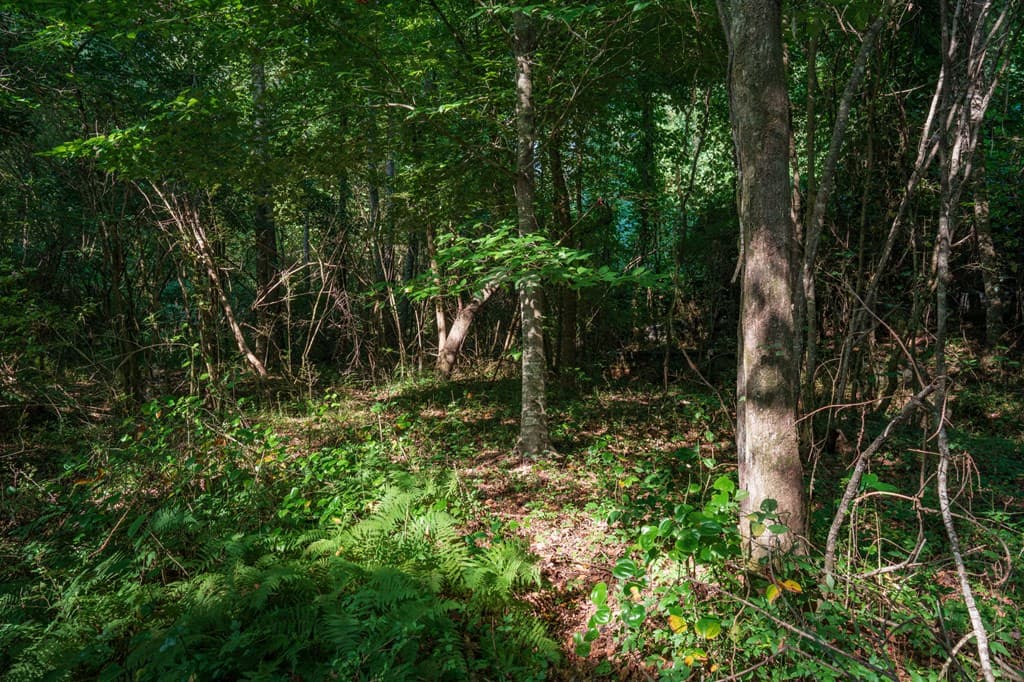 00 Bill Smith Drive, Canton GA 30114 - Photo