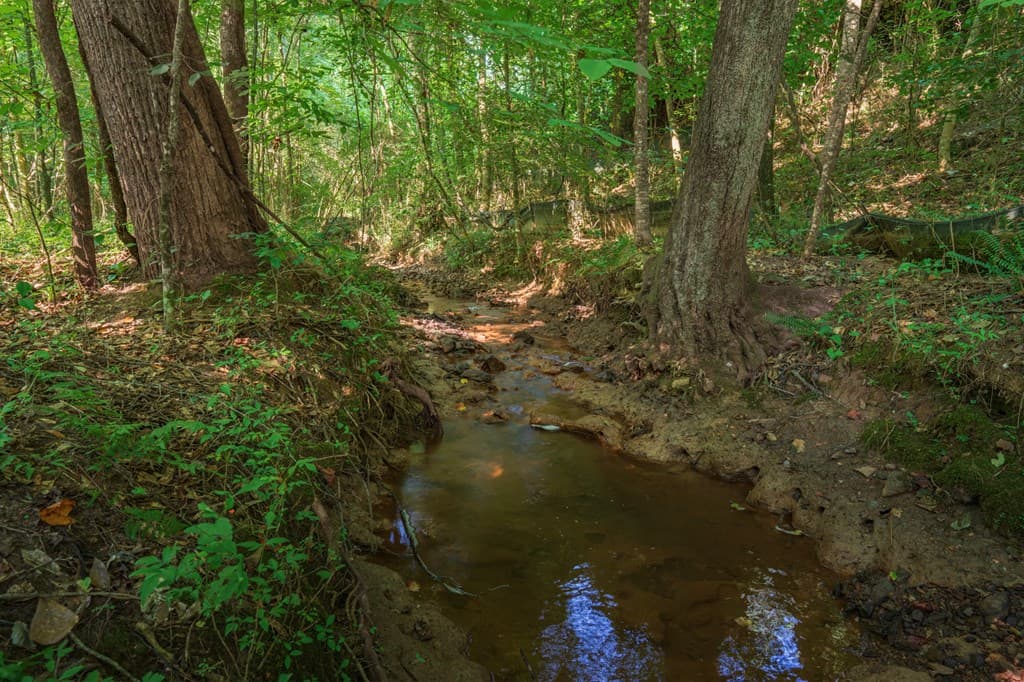 00 Bill Smith Drive, Canton GA 30114 - Photo