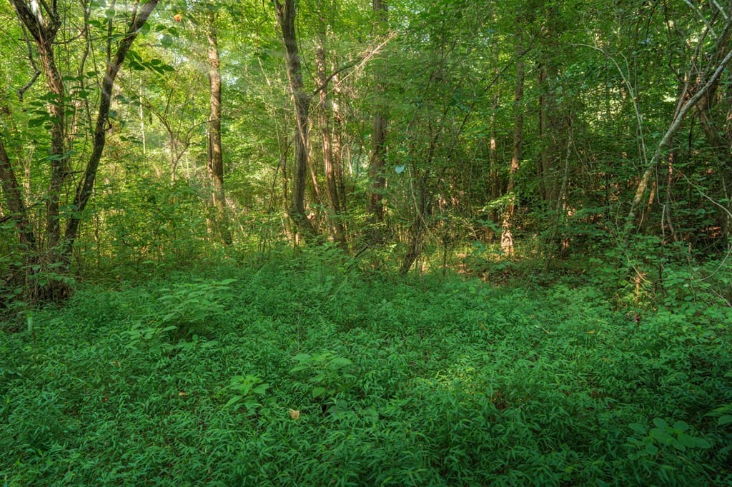 00 Bill Smith Drive, Canton GA 30114 - Photo