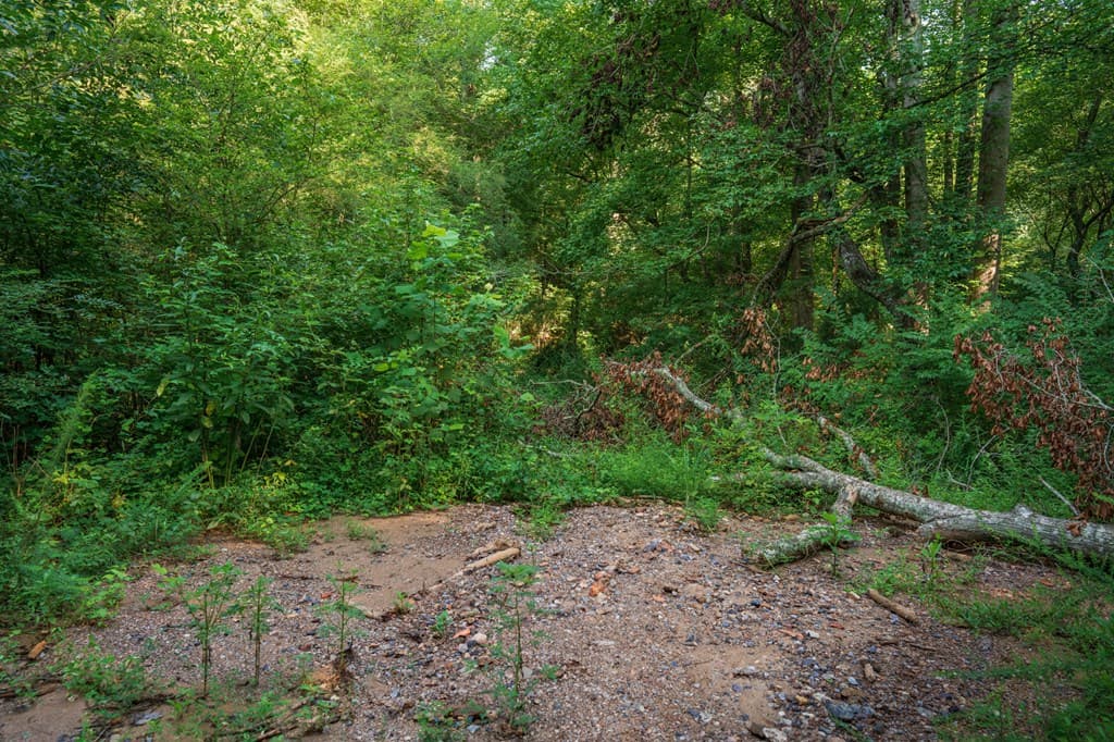 00 Bill Smith Drive, Canton GA 30114 - Photo