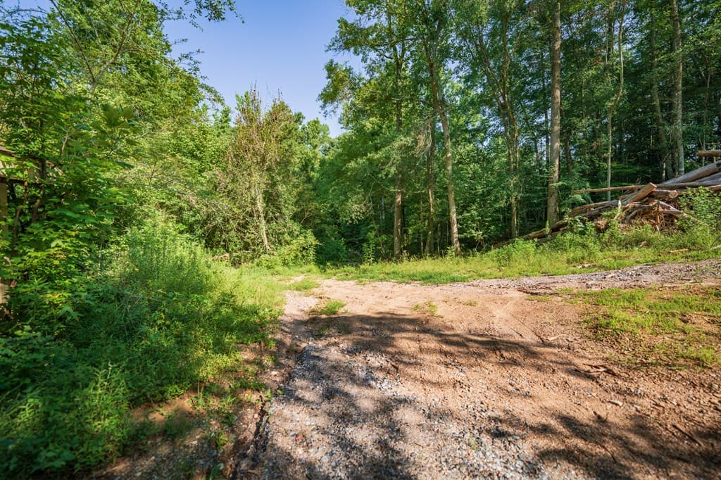 00 Bill Smith Drive, Canton GA 30114 - Photo
