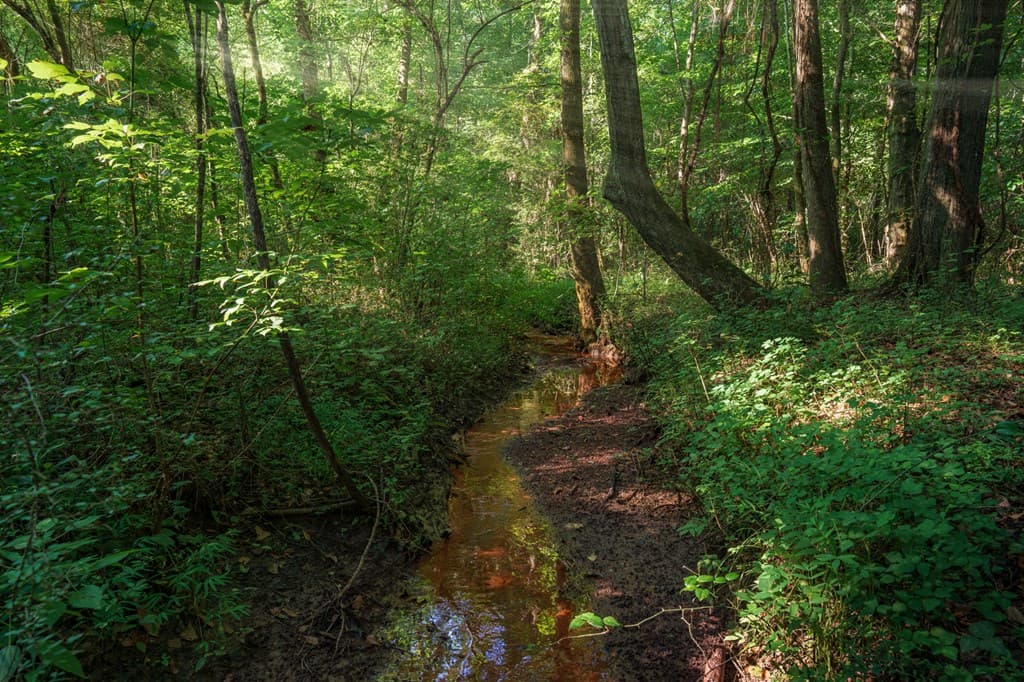 00 Bill Smith Drive, Canton GA 30114 - Photo