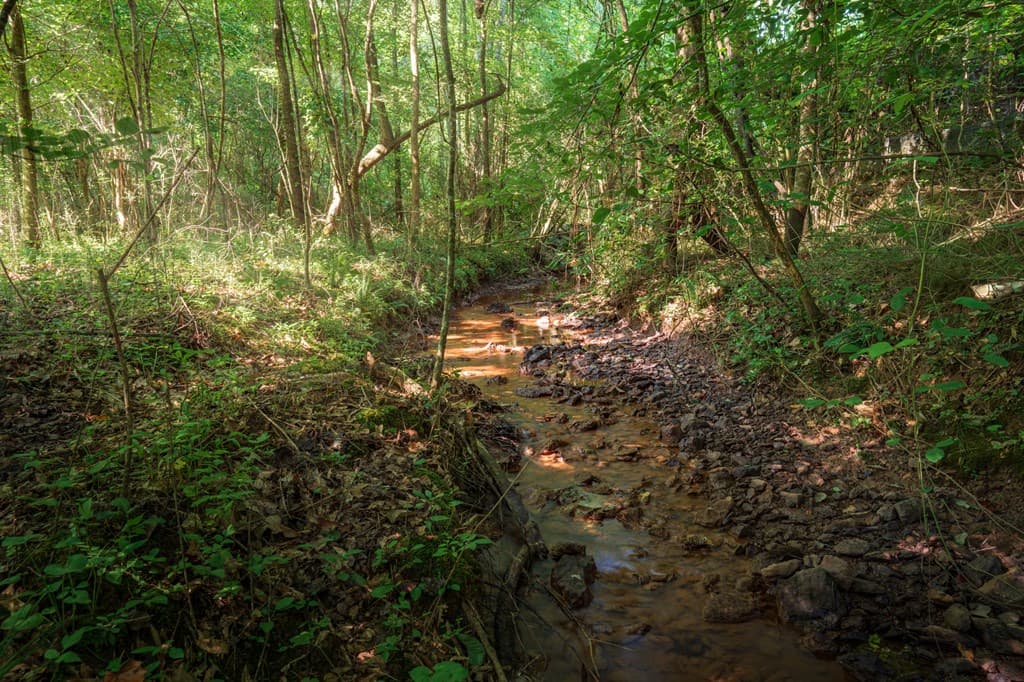 00 Bill Smith Drive, Canton GA 30114 - Photo