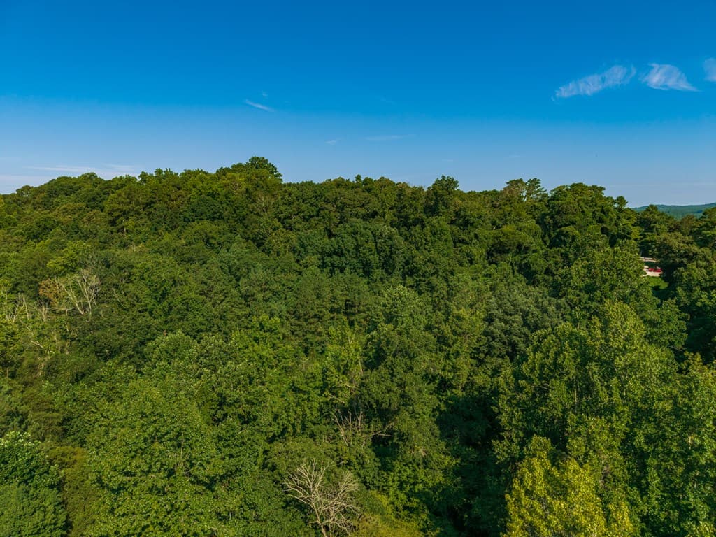 00 Bill Smith Drive, Canton GA 30114 - Photo