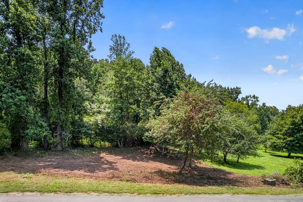 TR 1 & 4 Bocon Lane, Hiawassee GA 30546 - Photo
