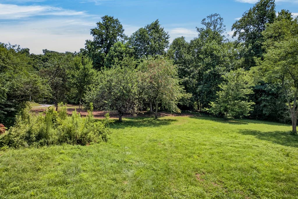 TR 1 & 4 Bocon Lane, Hiawassee GA 30546 - Photo