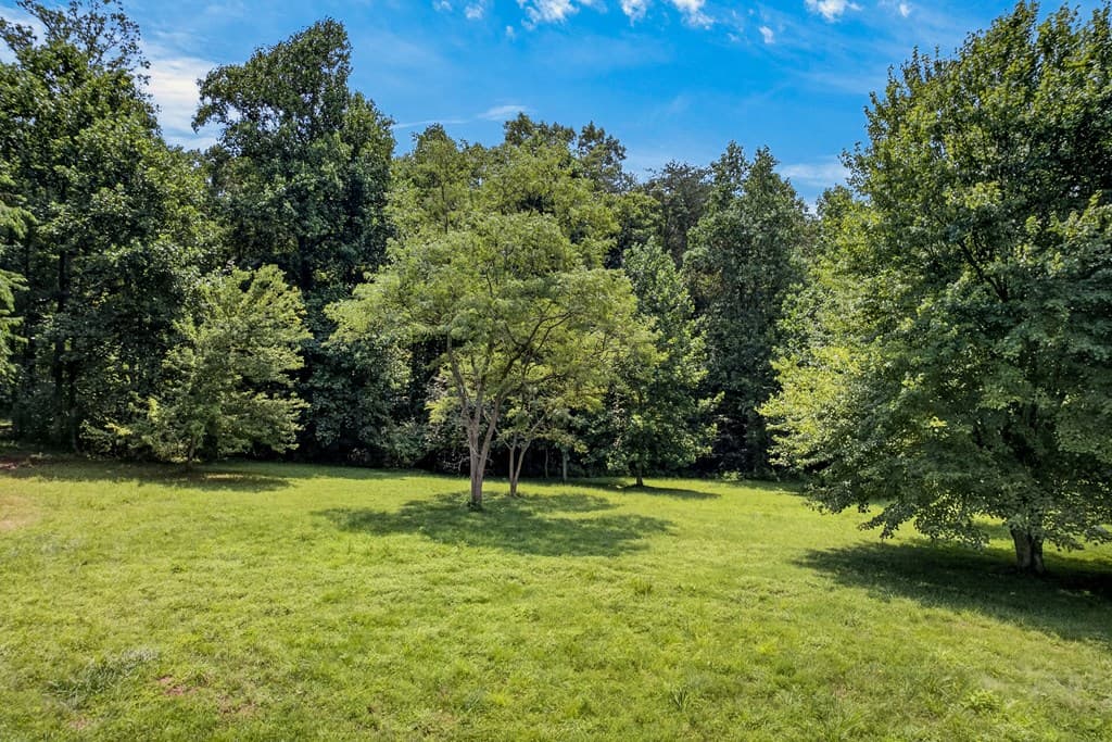 TR 1 & 4 Bocon Lane, Hiawassee GA 30546 - Photo