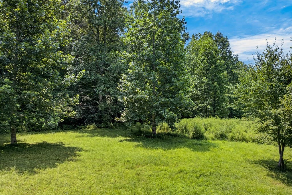 TR 1 & 4 Bocon Lane, Hiawassee GA 30546 - Photo