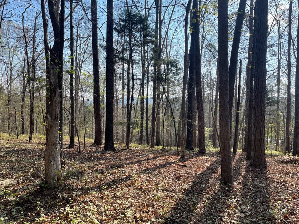 TRACT1B Chalcrest Way, Cave Spring GA 30124 - Photo
