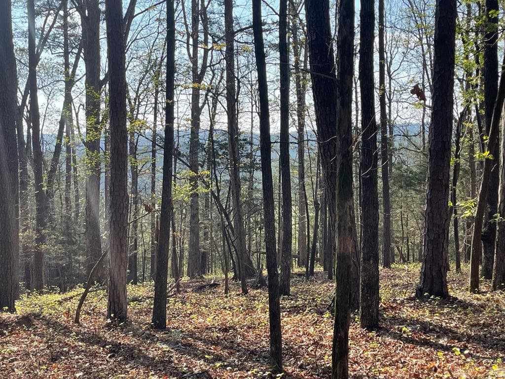 TRACT1B Chalcrest Way, Cave Spring GA 30124 - Primary photo