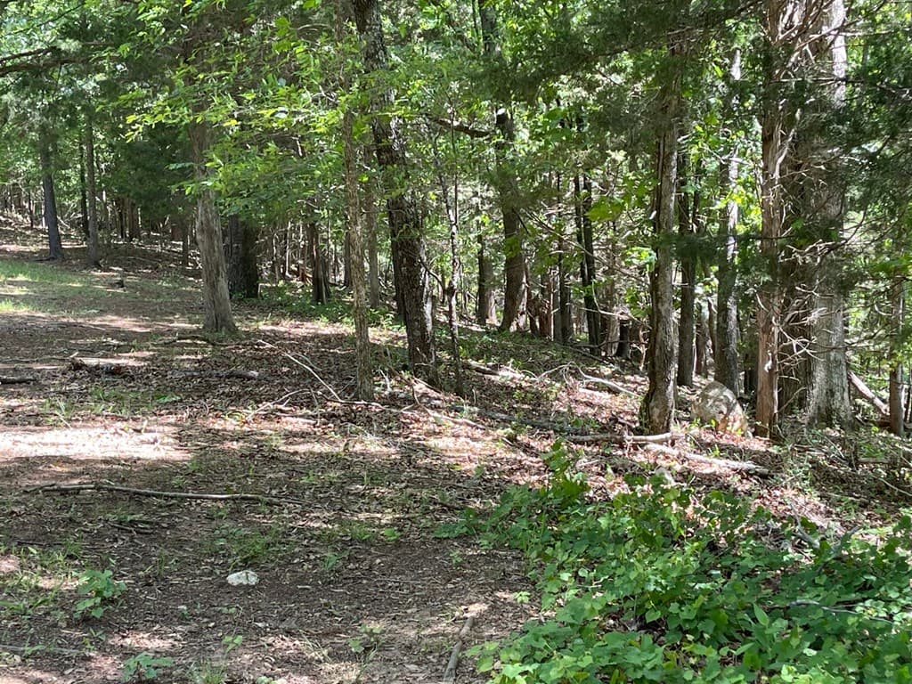 TRACT1B Chalcrest Way, Cave Spring GA 30124 - Photo