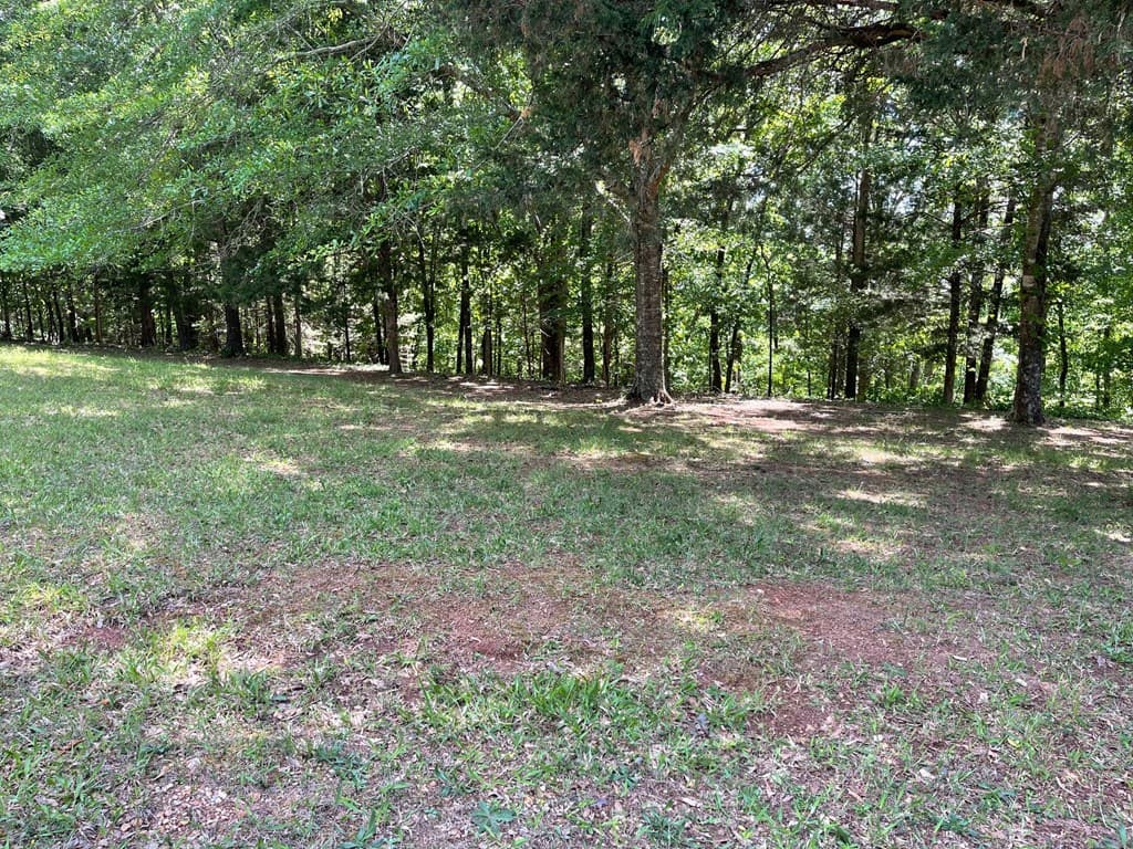 TRACT1B Chalcrest Way, Cave Spring GA 30124 - Photo
