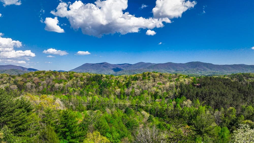 43 S Dustin Drive, Ellijay GA 30540 - Photo
