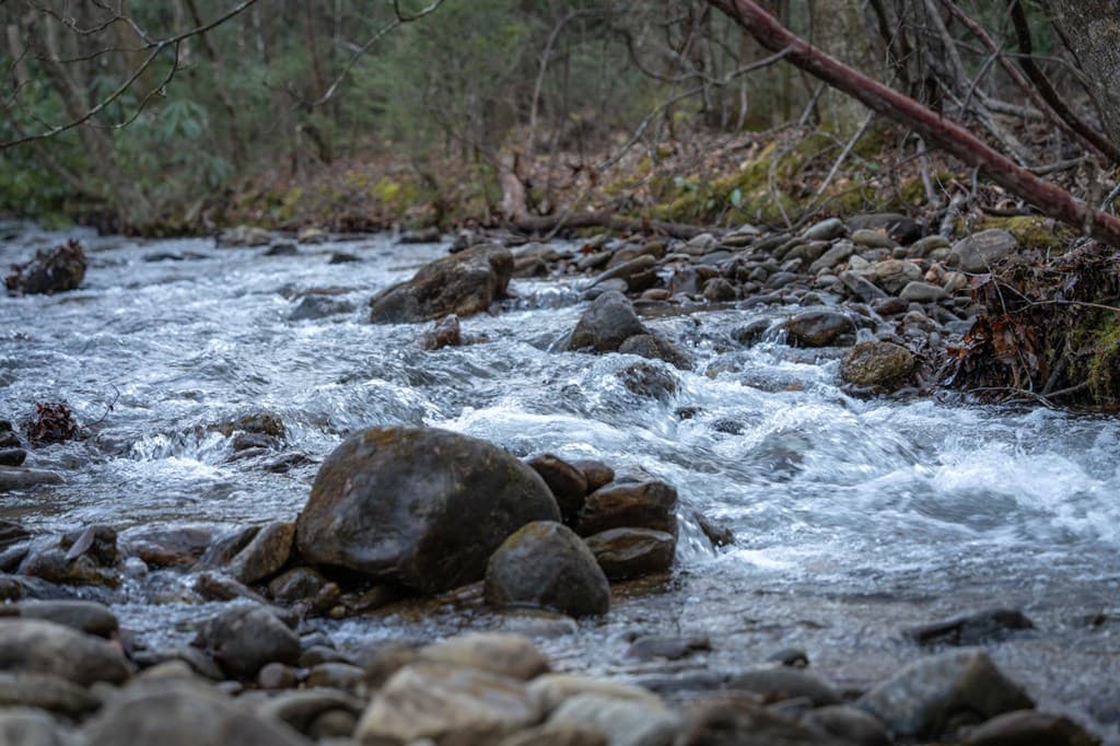 490 Red Wolf Run, Franklin NC 28734 - Photo