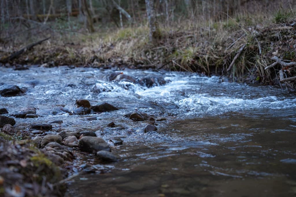 490 Red Wolf Run, Franklin NC 28734 - Photo