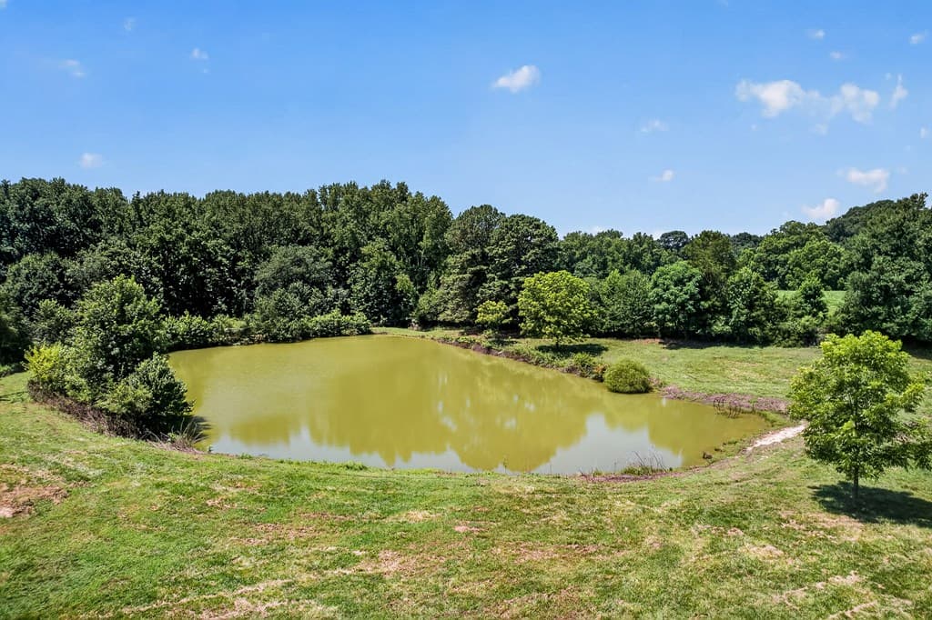 14155 Highway 106, Carnesville GA 30521 - Photo