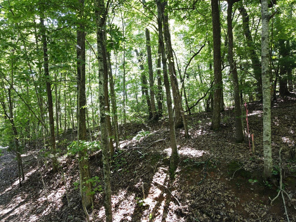 0 Bald Eagle Path, Cleveland GA 30528 - Photo