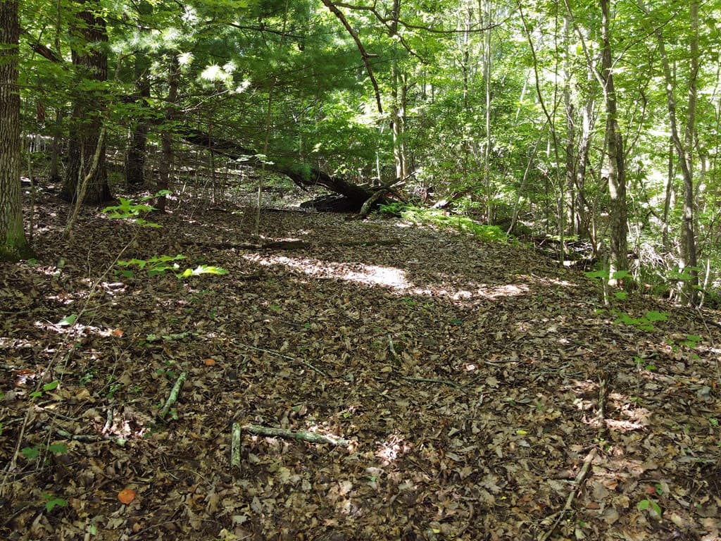 0 Bald Eagle Path, Cleveland GA 30528 - Photo