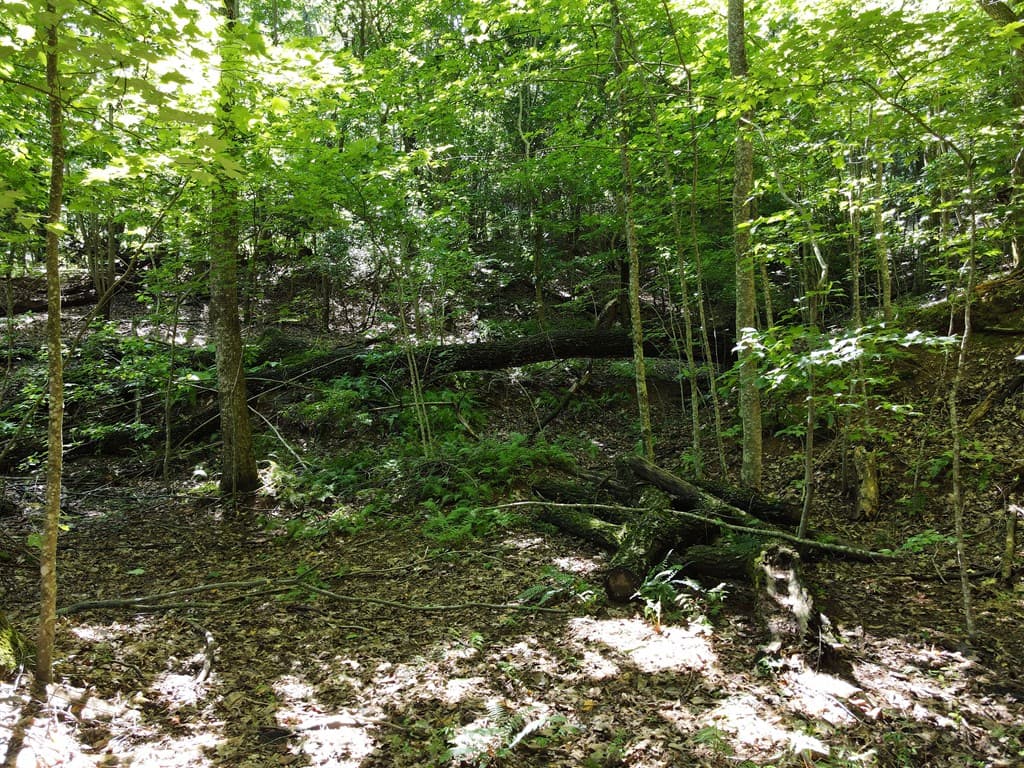 0 Bald Eagle Path, Cleveland GA 30528 - Photo