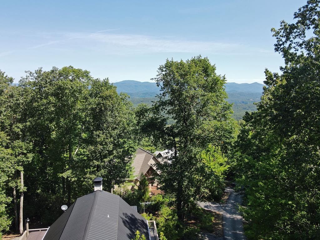 0 Bald Eagle Path, Cleveland GA 30528 - Primary photo