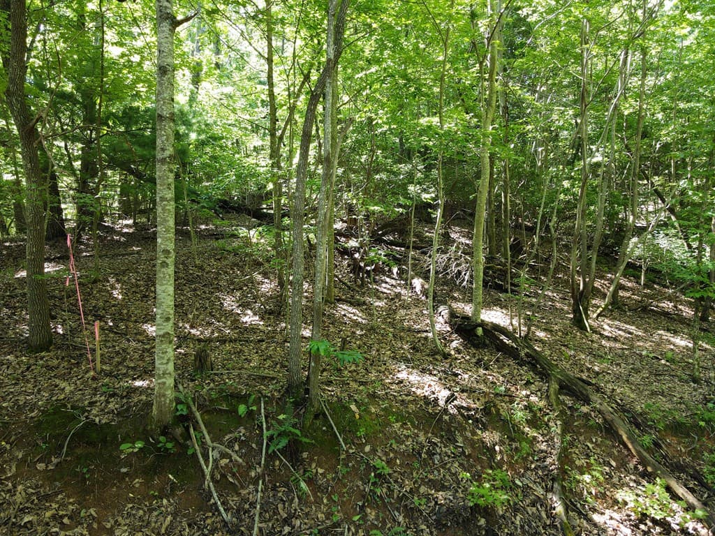 0 Bald Eagle Path, Cleveland GA 30528 - Photo
