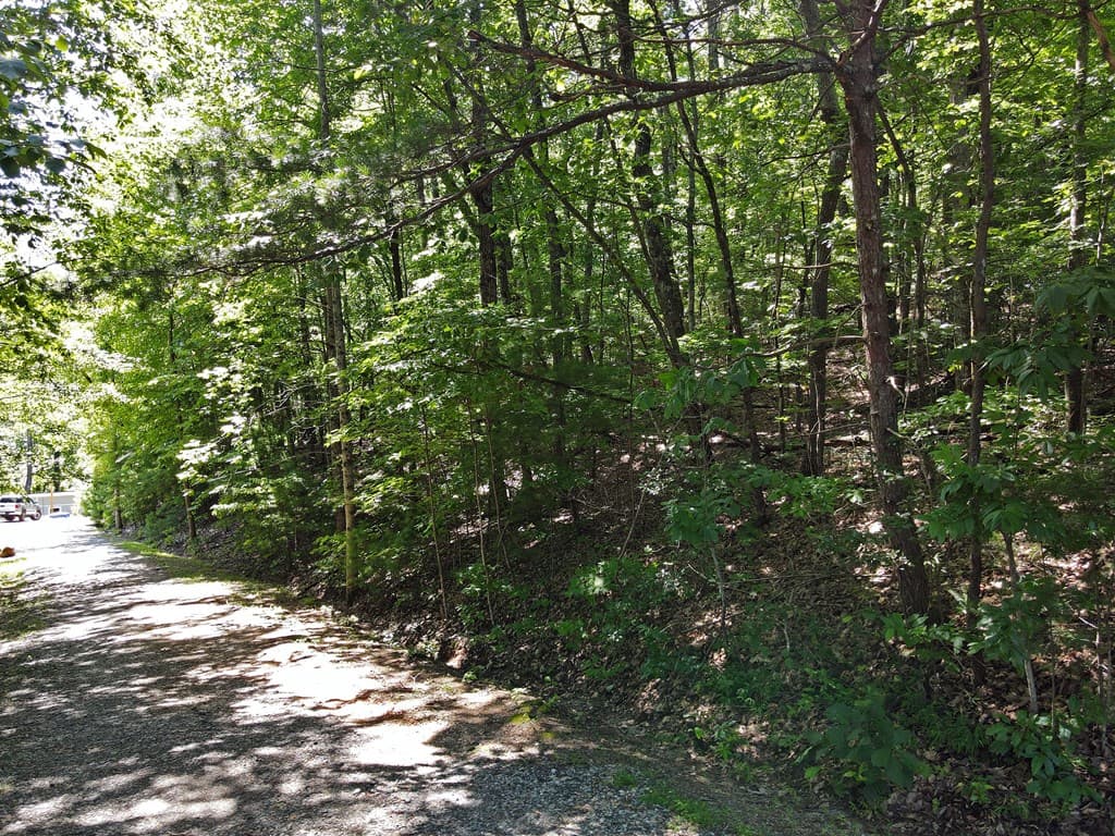 0 Bald Eagle Path, Cleveland GA 30528 - Photo