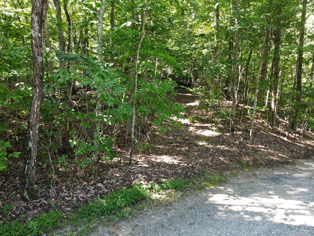 0 Bald Eagle Path, Cleveland GA 30528 - Photo