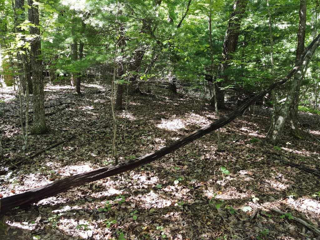 0 Bald Eagle Path, Cleveland GA 30528 - Photo