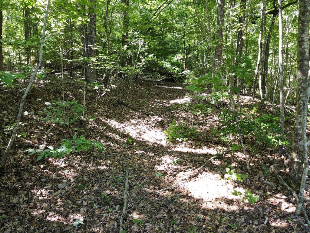 0 Bald Eagle Path, Cleveland GA 30528 - Photo