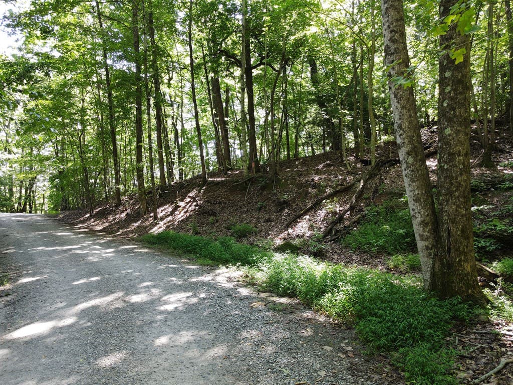 0 Bald Eagle Path, Cleveland GA 30528 - Photo