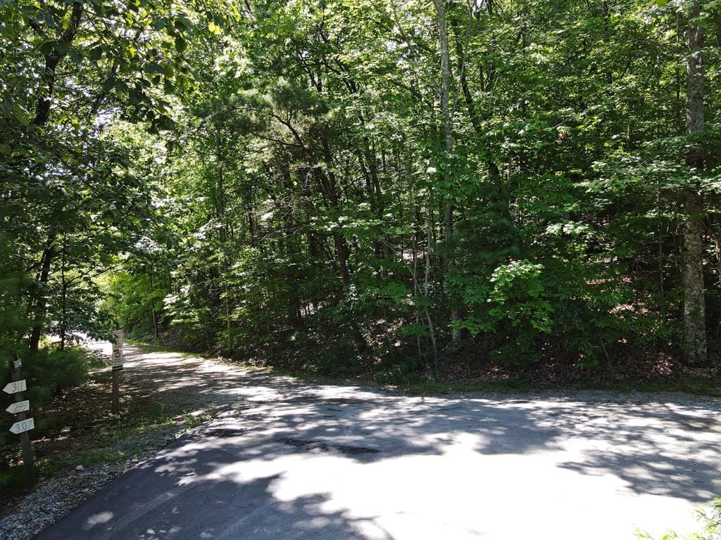 0 Bald Eagle Path, Cleveland GA 30528 - Photo