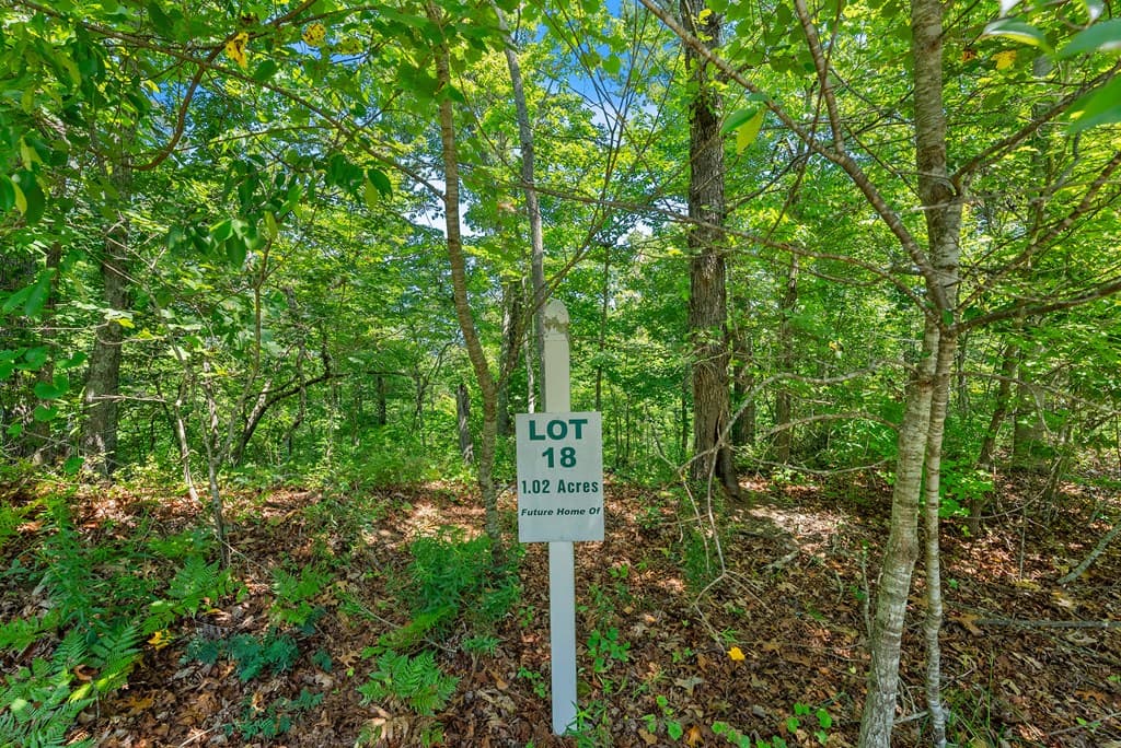 0 Flat Rock Point, Dahlonega GA 30533 - Photo