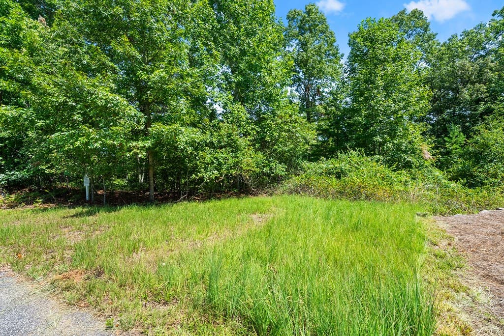 0 Flat Rock Point, Dahlonega GA 30533 - Photo