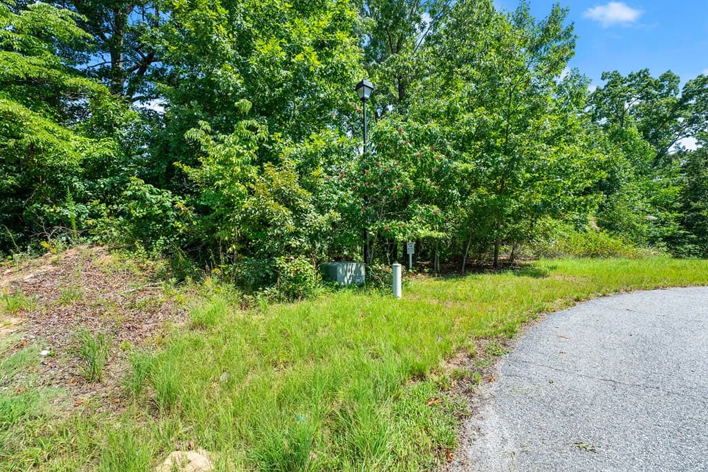 0 Flat Rock Point, Dahlonega GA 30533 - Photo