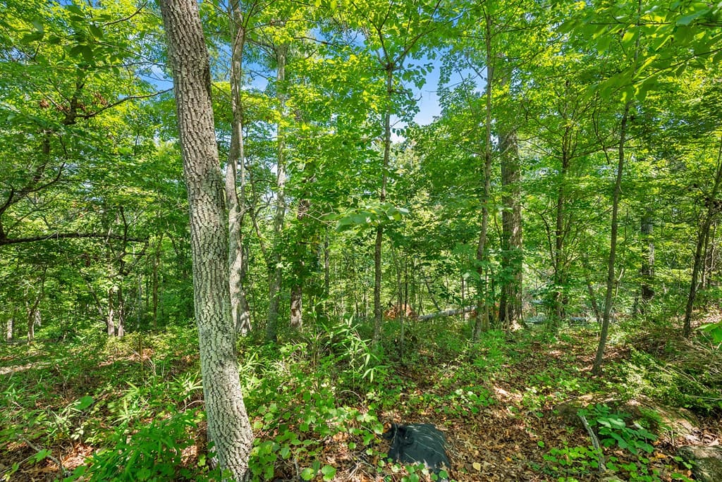 0 Flat Rock Point, Dahlonega GA 30533 - Photo