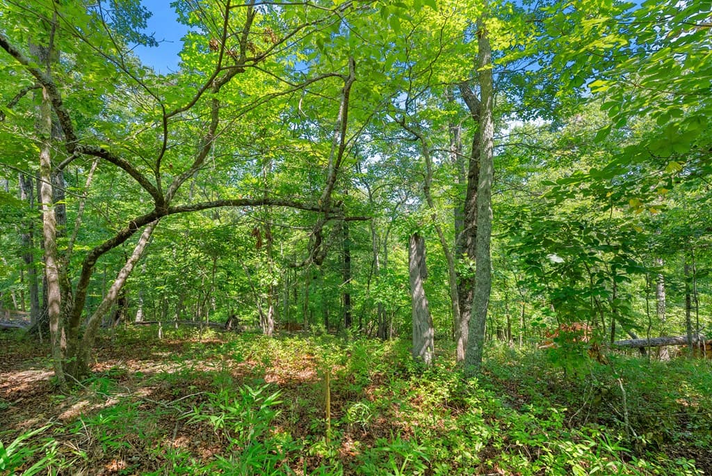 0 Flat Rock Point, Dahlonega GA 30533 - Photo
