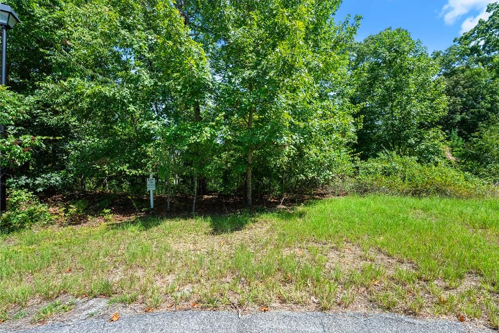 0 Flat Rock Point, Dahlonega GA 30533 - Photo