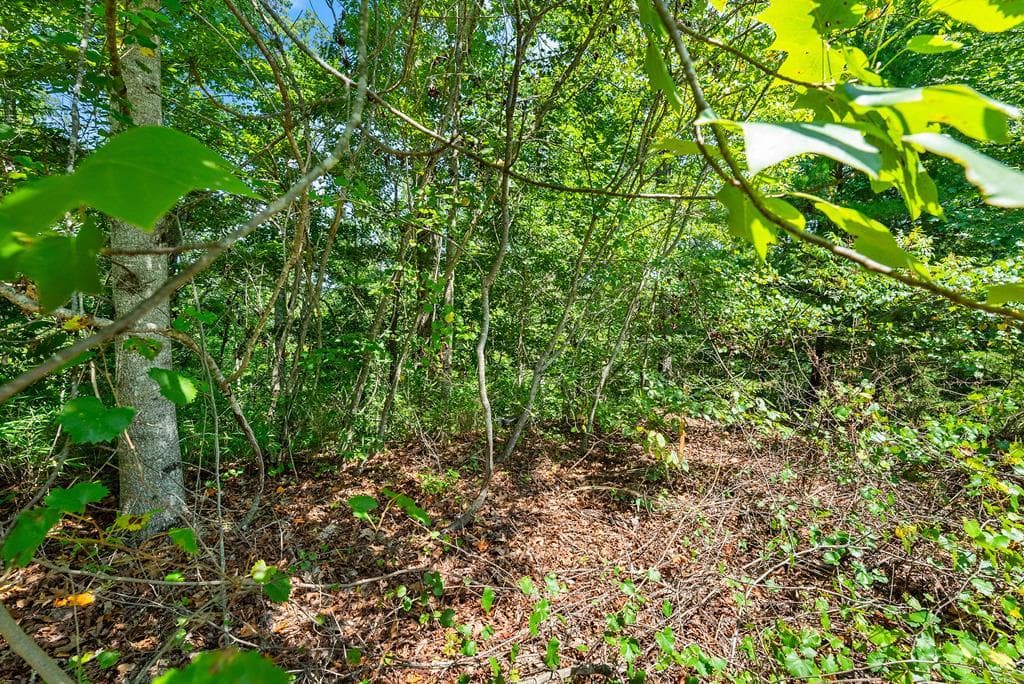 0 Flat Rock Point, Dahlonega GA 30533 - Photo
