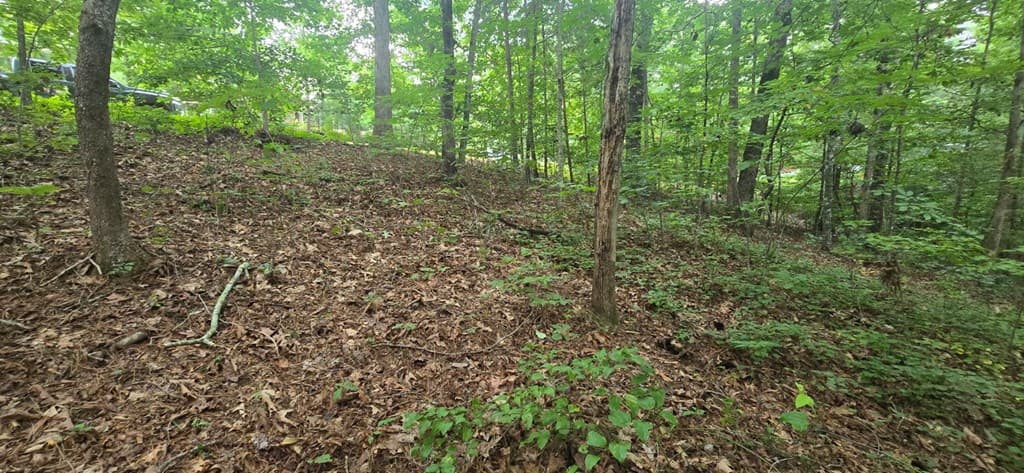 LOT 9 Harris Creek Drive, Ellijay GA 30540 - Photo