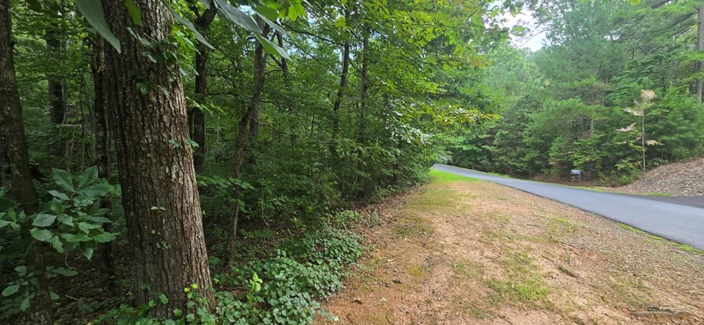 LOT 9 Harris Creek Drive, Ellijay GA 30540 - Photo
