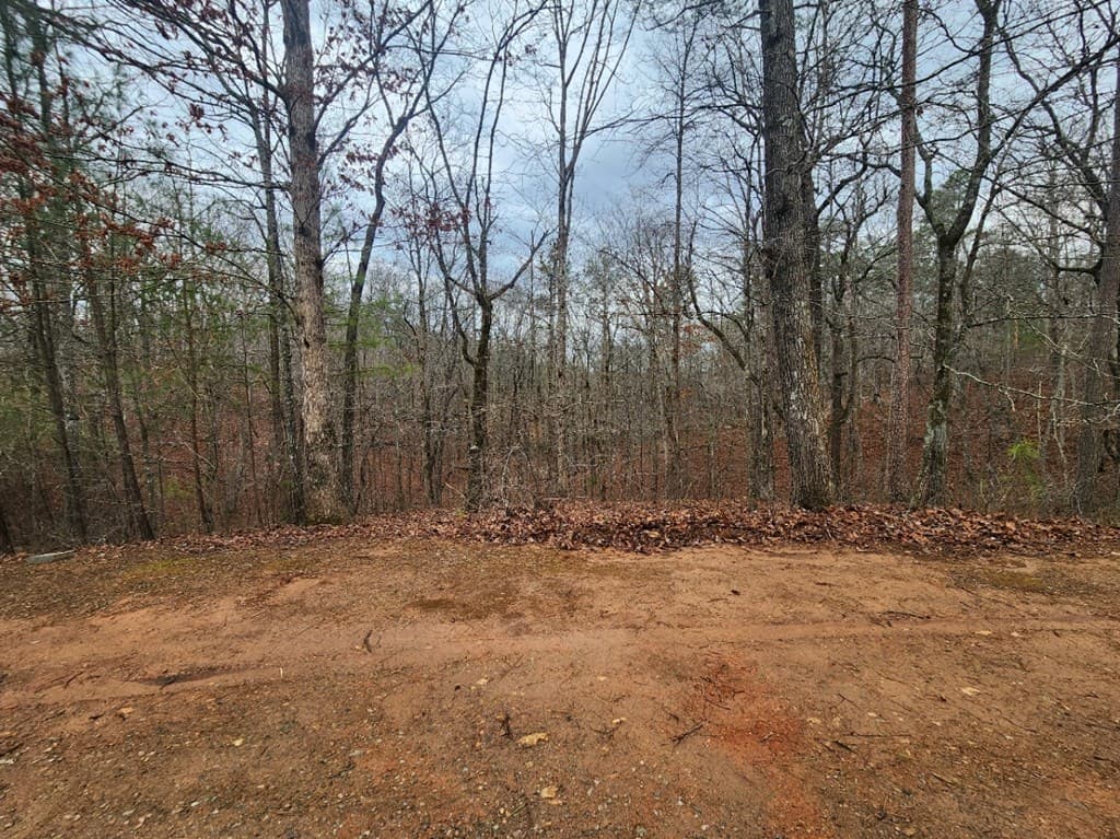 LOT 9 Harris Creek Drive, Ellijay GA 30540 - Photo