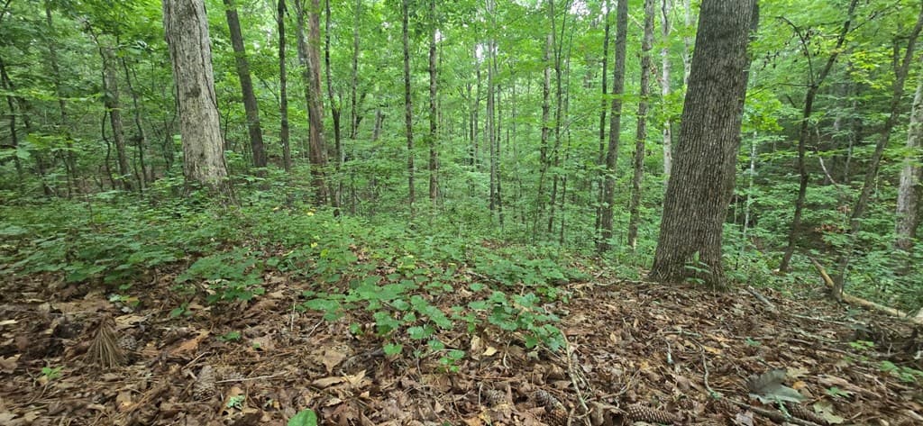 LOT 9 Harris Creek Drive, Ellijay GA 30540 - Photo