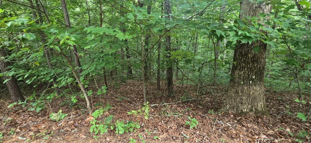 LOT 9 Harris Creek Drive, Ellijay GA 30540 - Photo