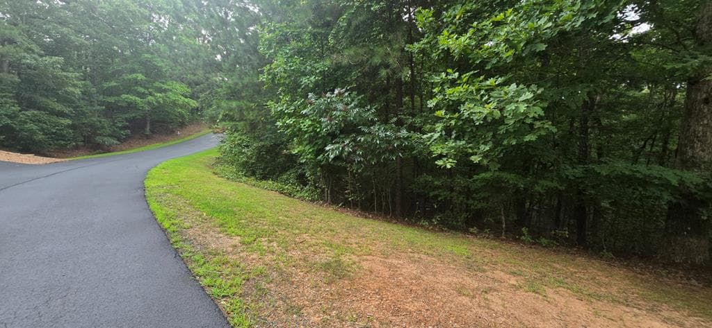 LOT 9 Harris Creek Drive, Ellijay GA 30540 - Primary photo